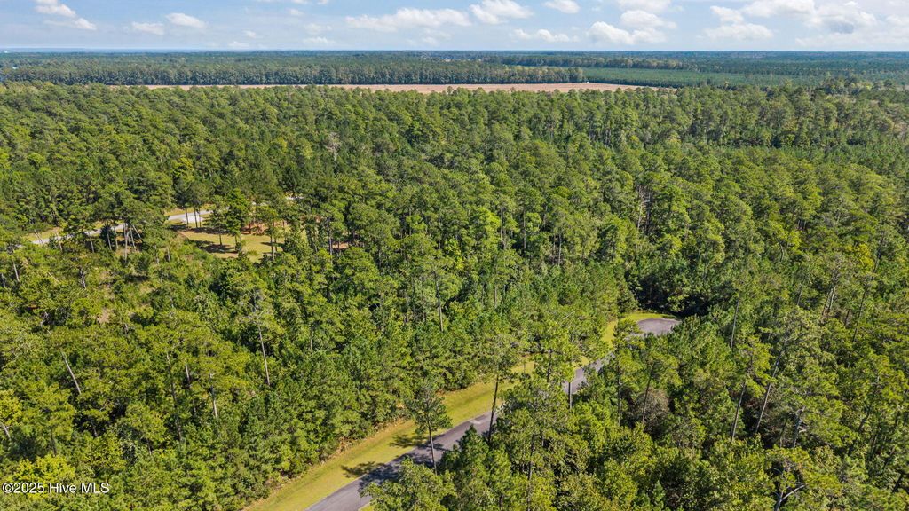 Photo of 87 Mason Lane, Merritt, NC 28556 (MLS # 100546261)