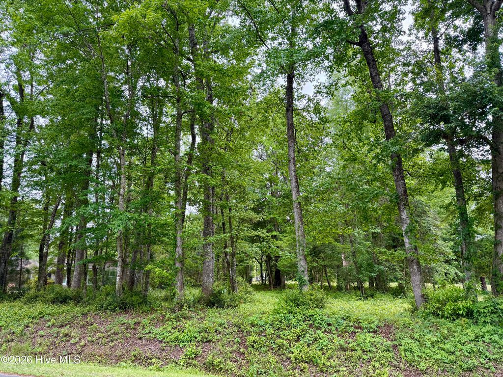 Photo of 59 Calabash Drive, Carolina Shores, NC 28467 (MLS # 100571108)