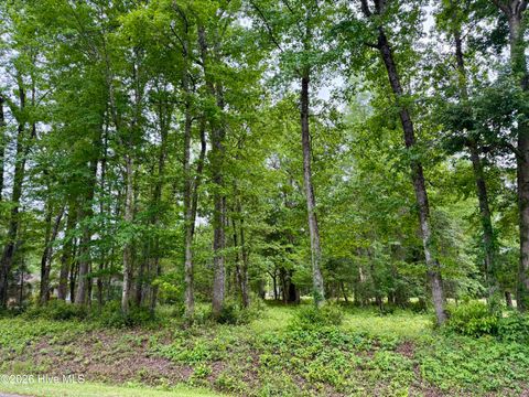 Photo of 59 Calabash Drive, Carolina Shores, NC 28467 (MLS # 100571108)