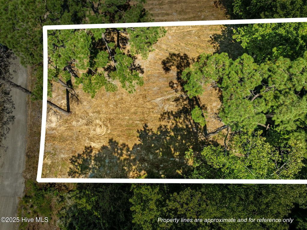 Photo of 124 Jupiter Trail, Jacksonville, NC 28546 (MLS # 100546346)