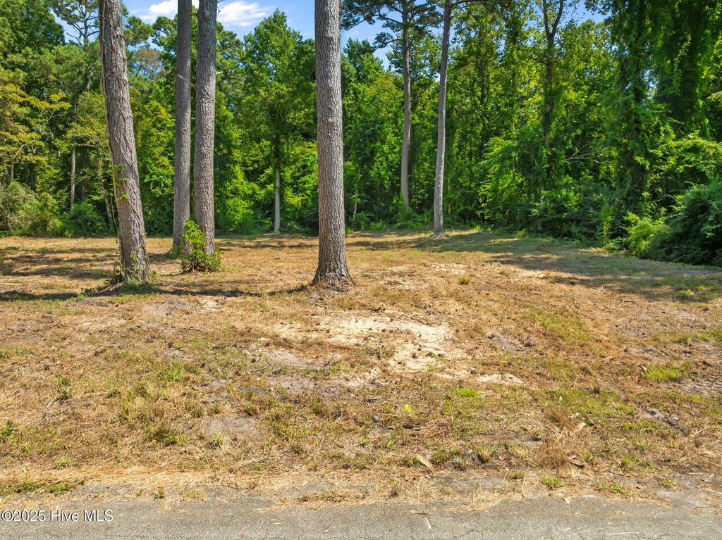 Photo of 124 Jupiter Trail, Jacksonville, NC 28546 (MLS # 100546346)