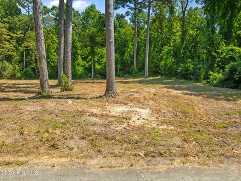 Tiny photo for 124 Jupiter Trail, Jacksonville, NC 28546 (MLS # 100546346)