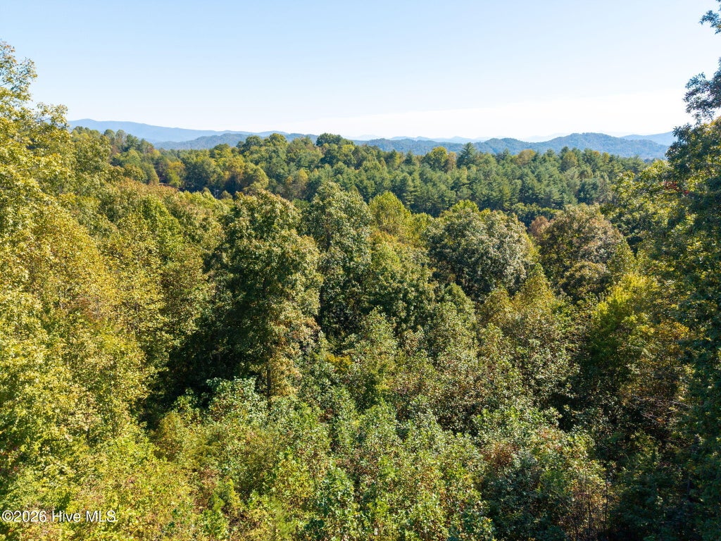 Photo of 164 Big Sky Drive, Murphy, NC 28906 (MLS # 100610350)