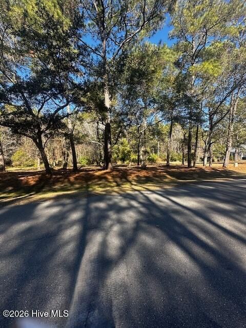 Tiny photo for 400 SW Genoes Point Road, Supply, NC 28462 (MLS # 100551842)