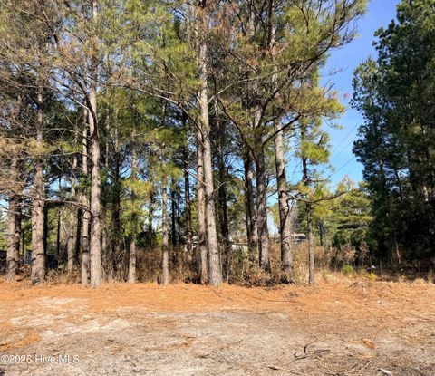 Lot 21 Branch Drive Burgaw NC 28425