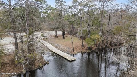 Tiny photo for 21 Branch Drive, Burgaw, NC 28425 (MLS # 100552847)