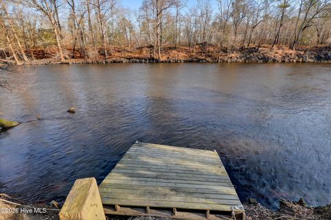 Tiny photo for 19 Ruddy Duck Lane, Burgaw, NC 28425 (MLS # 100558577)