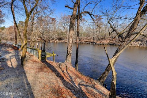 Tiny photo for 19 Ruddy Duck Lane, Burgaw, NC 28425 (MLS # 100558577)
