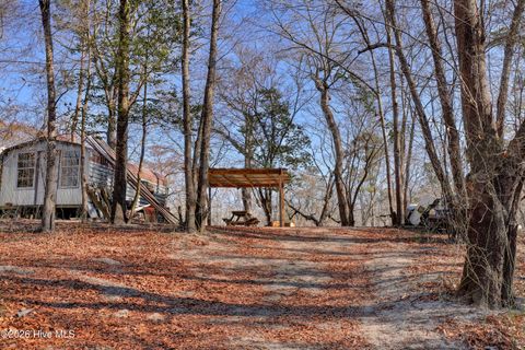 Tiny photo for 19 Ruddy Duck Lane, Burgaw, NC 28425 (MLS # 100558577)