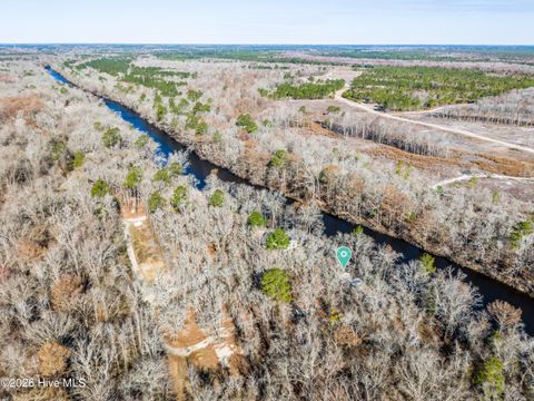 Tiny photo for 19 Ruddy Duck Lane, Burgaw, NC 28425 (MLS # 100558577)