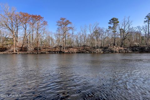 Tiny photo for 19 Ruddy Duck Lane, Burgaw, NC 28425 (MLS # 100558577)