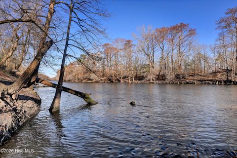 Tiny photo for 19 Ruddy Duck Lane, Burgaw, NC 28425 (MLS # 100558577)