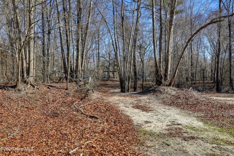 Tiny photo for 19 Ruddy Duck Lane, Burgaw, NC 28425 (MLS # 100558577)