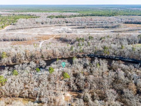 Tiny photo for 19 Ruddy Duck Lane, Burgaw, NC 28425 (MLS # 100558577)