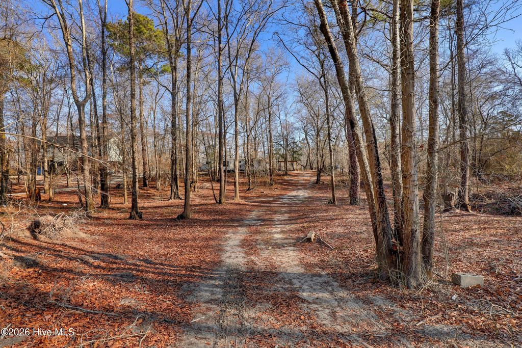 Photo of 19 Ruddy Duck Lane, Burgaw, NC 28425 (MLS # 100558577)