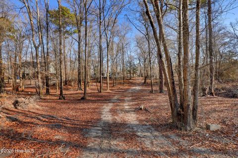 Tiny photo for 19 Ruddy Duck Lane, Burgaw, NC 28425 (MLS # 100558577)