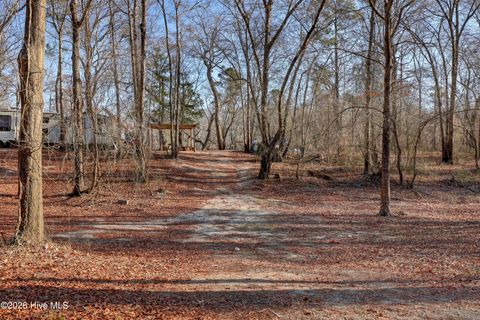 Tiny photo for 19 Ruddy Duck Lane, Burgaw, NC 28425 (MLS # 100558577)
