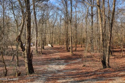 Tiny photo for 19 Ruddy Duck Lane, Burgaw, NC 28425 (MLS # 100558577)