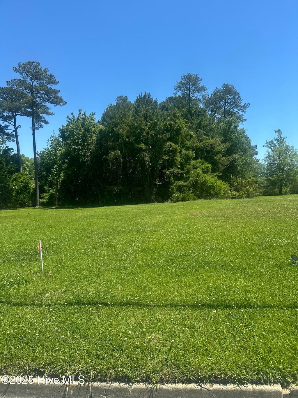 Photo of 112 Court Street, Jacksonville, NC 28540 (MLS # 100550320)