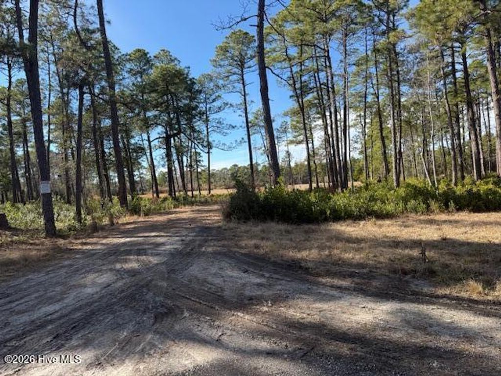 Photo of 3671 Cactus Road, Winnabow, NC 28479 (MLS # 100554657)