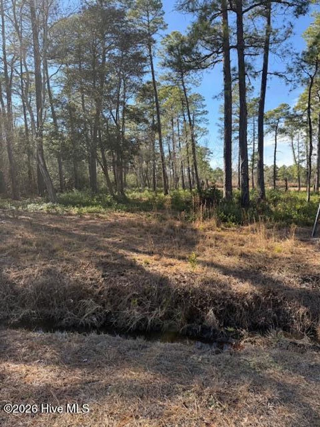 Photo of 3671 Cactus Road, Winnabow, NC 28479 (MLS # 100554657)