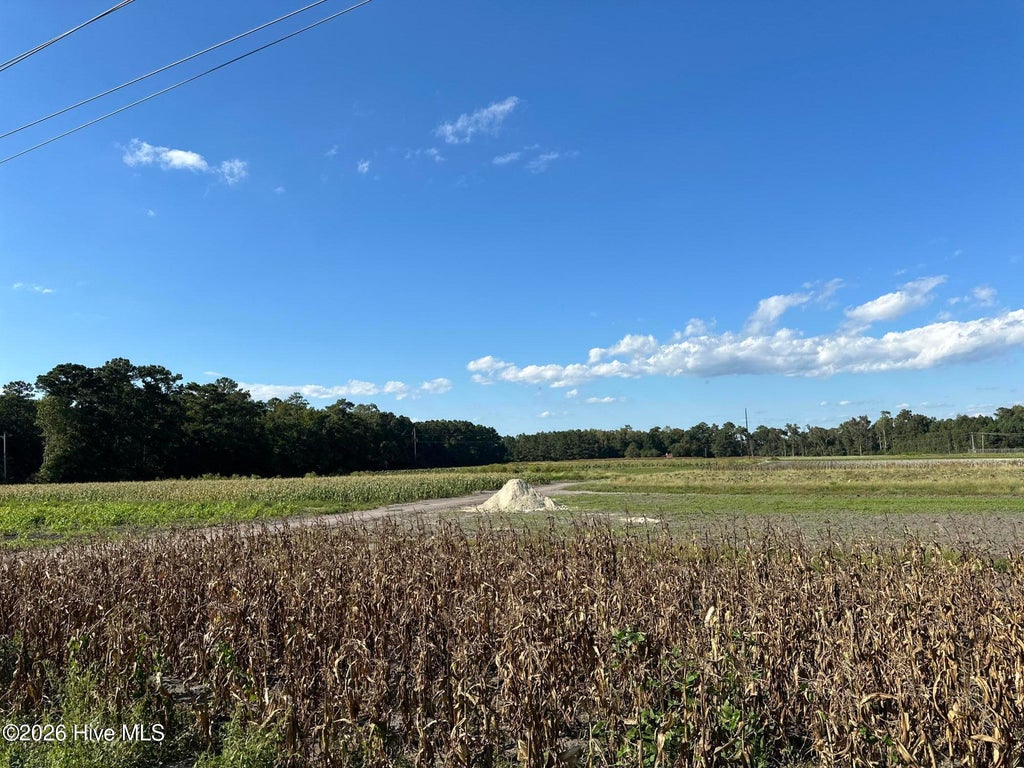 Photo of 000 Willis Farm Tract-1 Road, Newport, NC 28570 (MLS # 100606845)