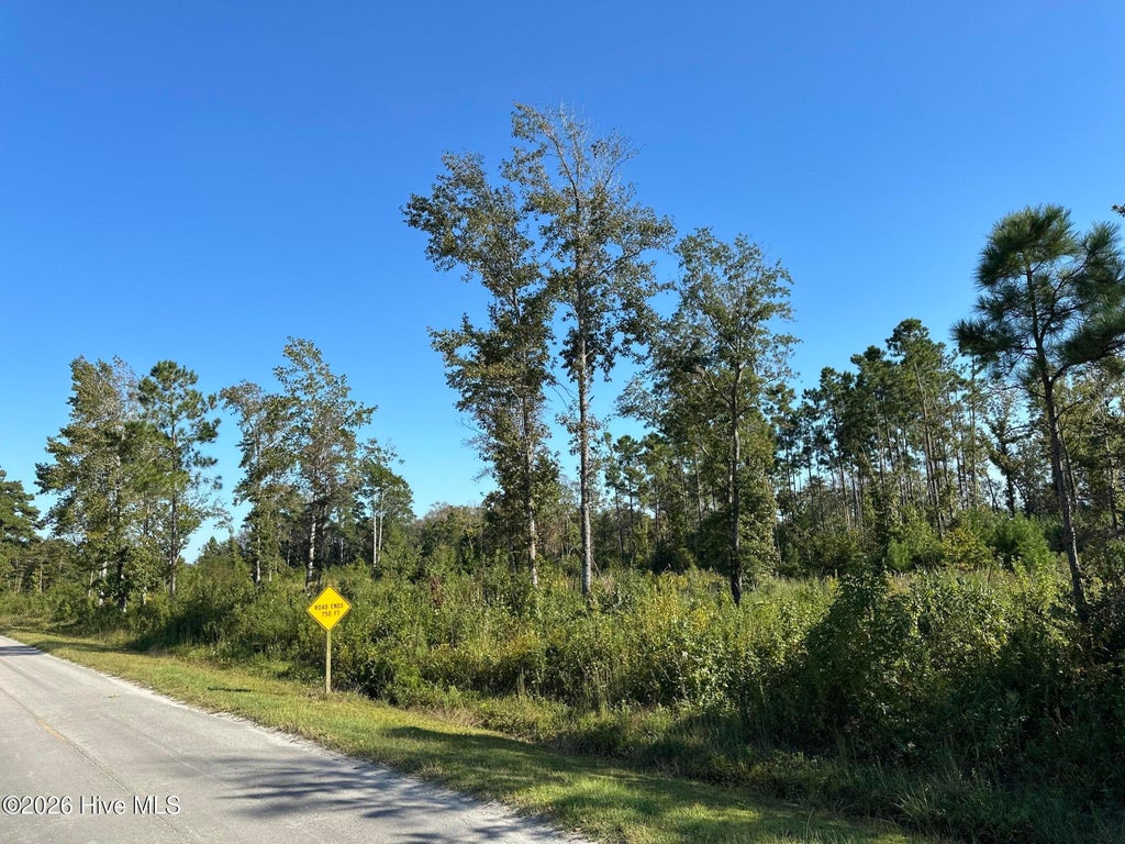 Photo of 000 Willis Farm Tract-1 Road, Newport, NC 28570 (MLS # 100606845)