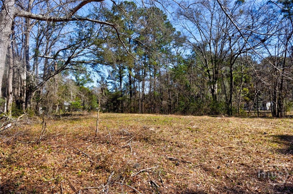 Photo of 0 Magnolia Street, Guyton, GA 31312 (MLS # SA347200)