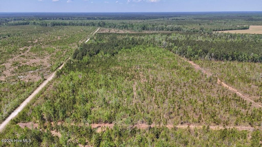 Photo of 0 Guinea Mill Road, Ernul, NC 28527 (MLS # 100568816)