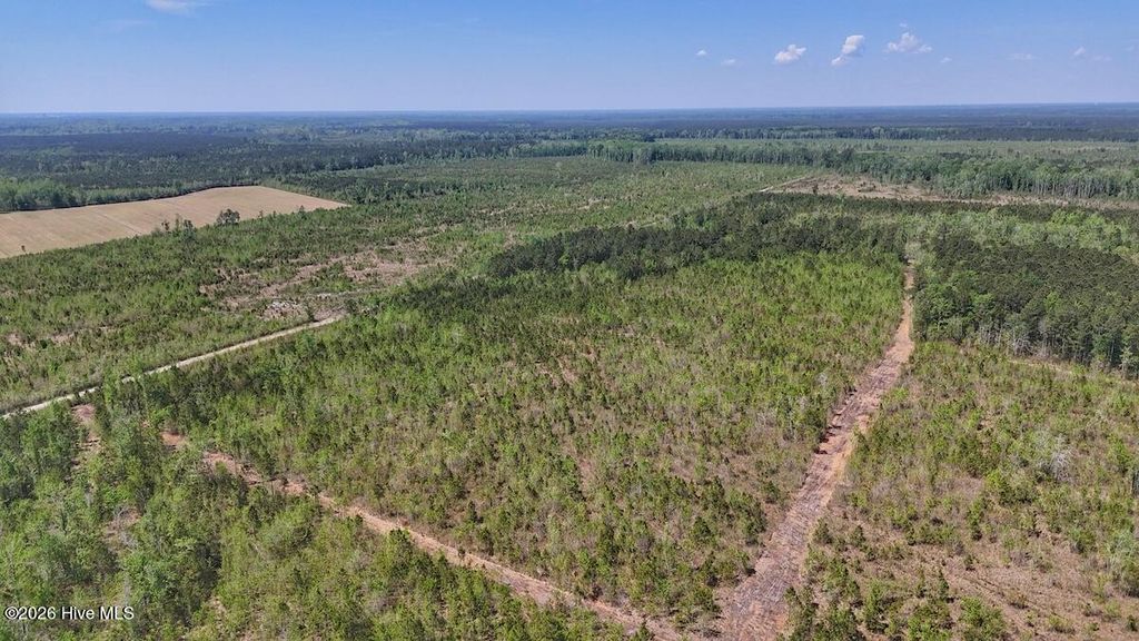 Photo of 0 Guinea Mill Road, Ernul, NC 28527 (MLS # 100568816)