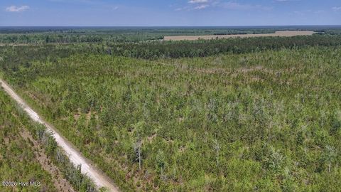 Vacant Land For Sale - Guinea Mill Road<br/> Ernul, NC 28527