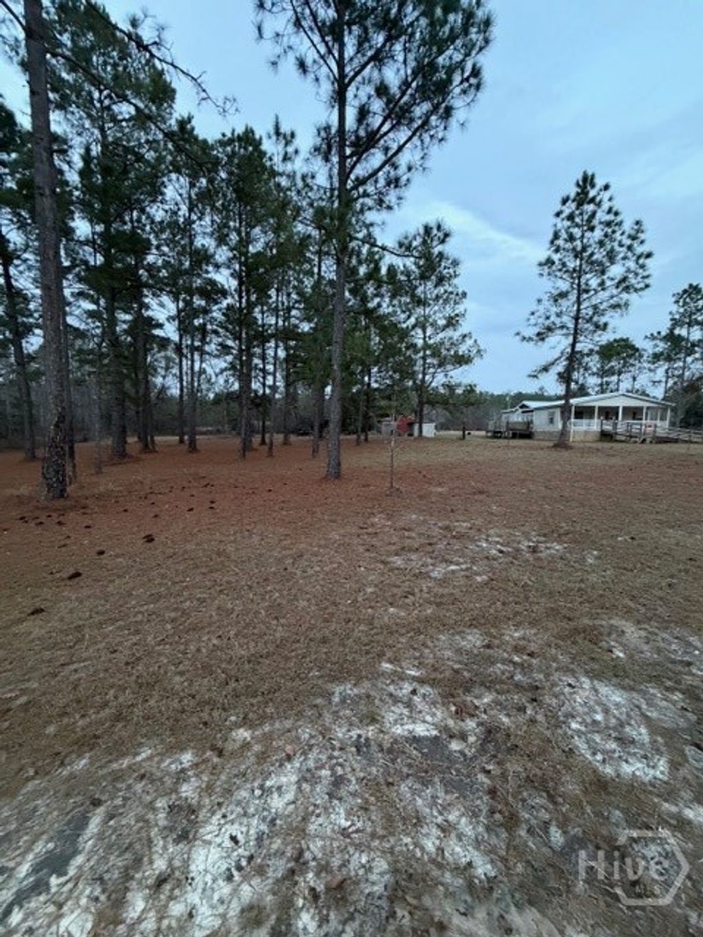 Photo of 163 Dellwood Road, Swainsboro, GA 30401 (MLS # SA346637)