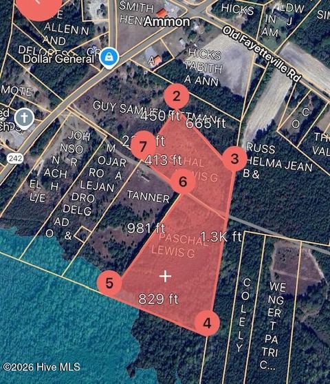 Vacant Land For Sale - Nc Hwy 242<br/> Bladen County, Elizabethtown, NC 28337