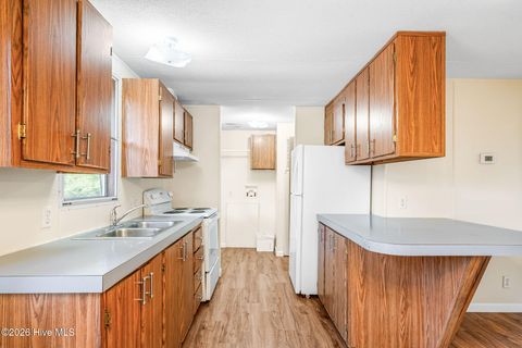 Tiny photo for 1003 Old Mill Road, Wallace, NC 28466 (MLS # 100549524)