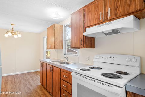 Tiny photo for 1003 Old Mill Road, Wallace, NC 28466 (MLS # 100549524)