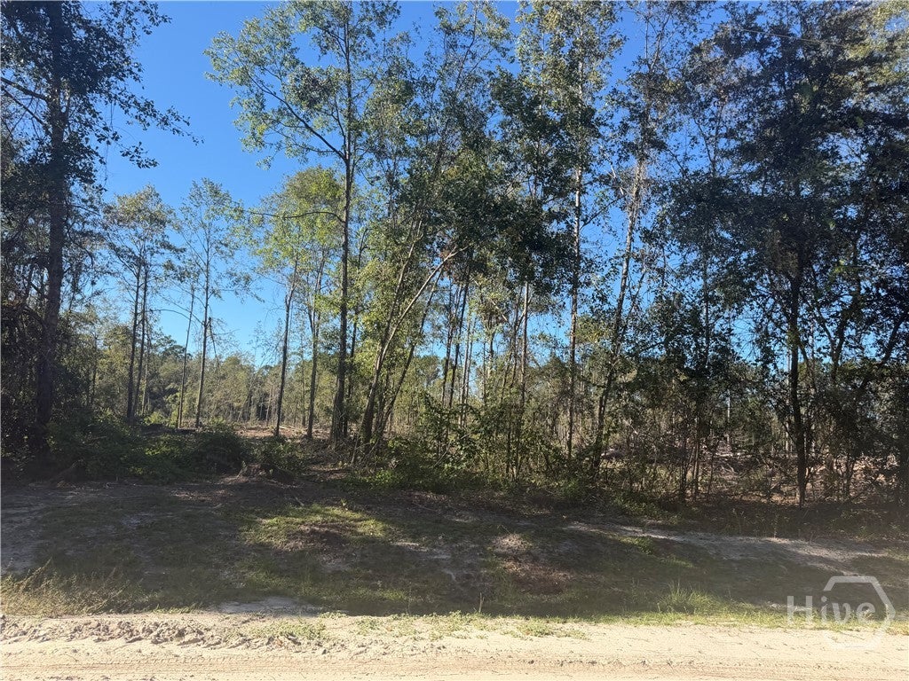 Photo of 8 Cherrywood Drive, Ellabell, GA 31308 (MLS # SA366887)