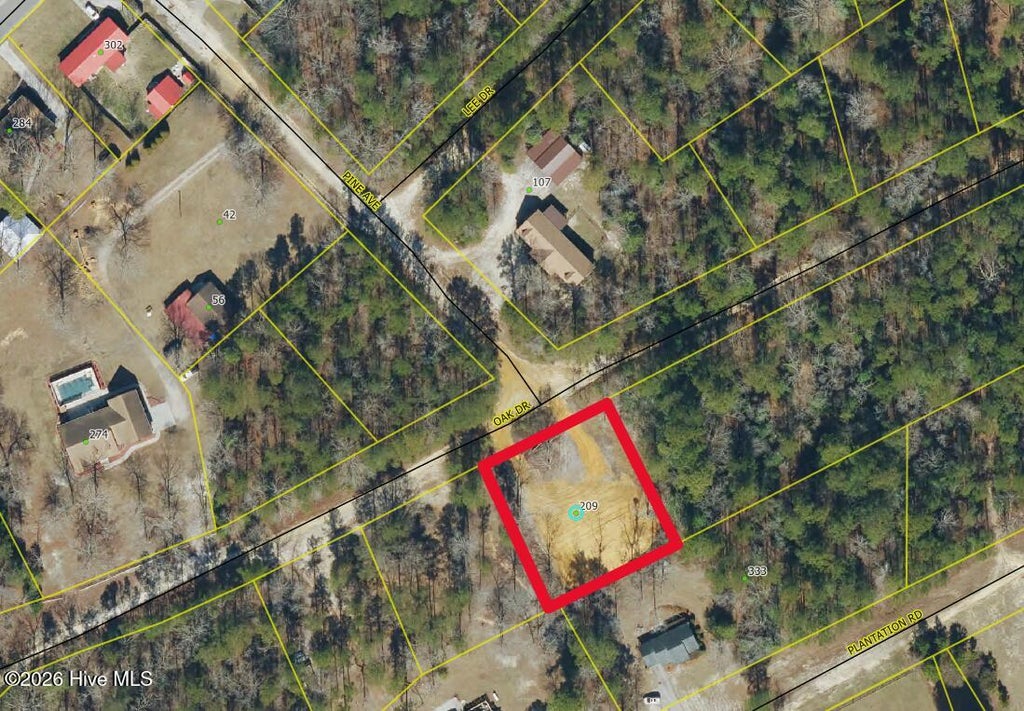 Photo of 209 Oak Drive, Elizabethtown, NC 28337 (MLS # 100608032)