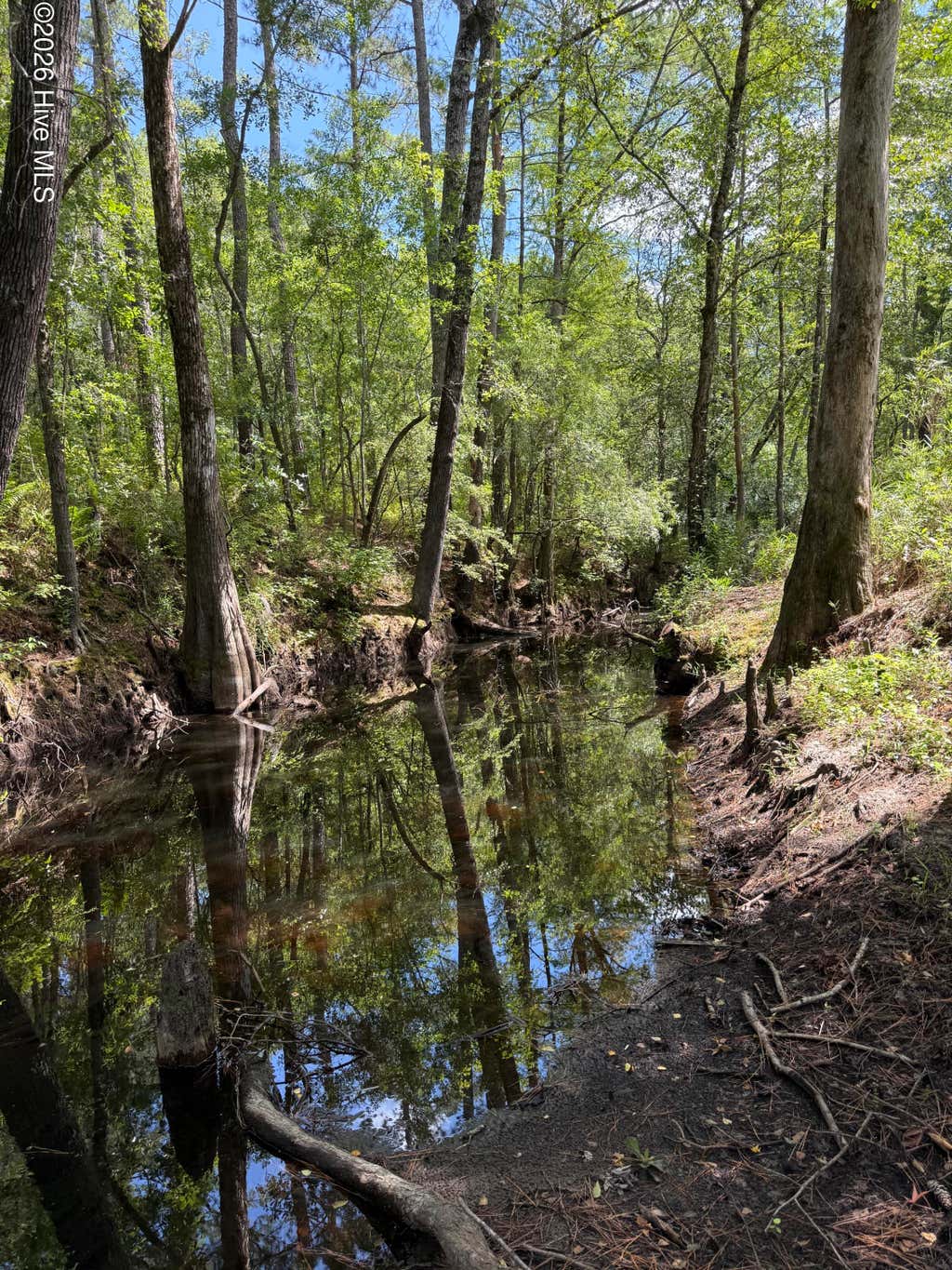 Photo of 532 Old Hoover Bridge Road, Elizabethtown, NC 28337 (MLS # 100589365)