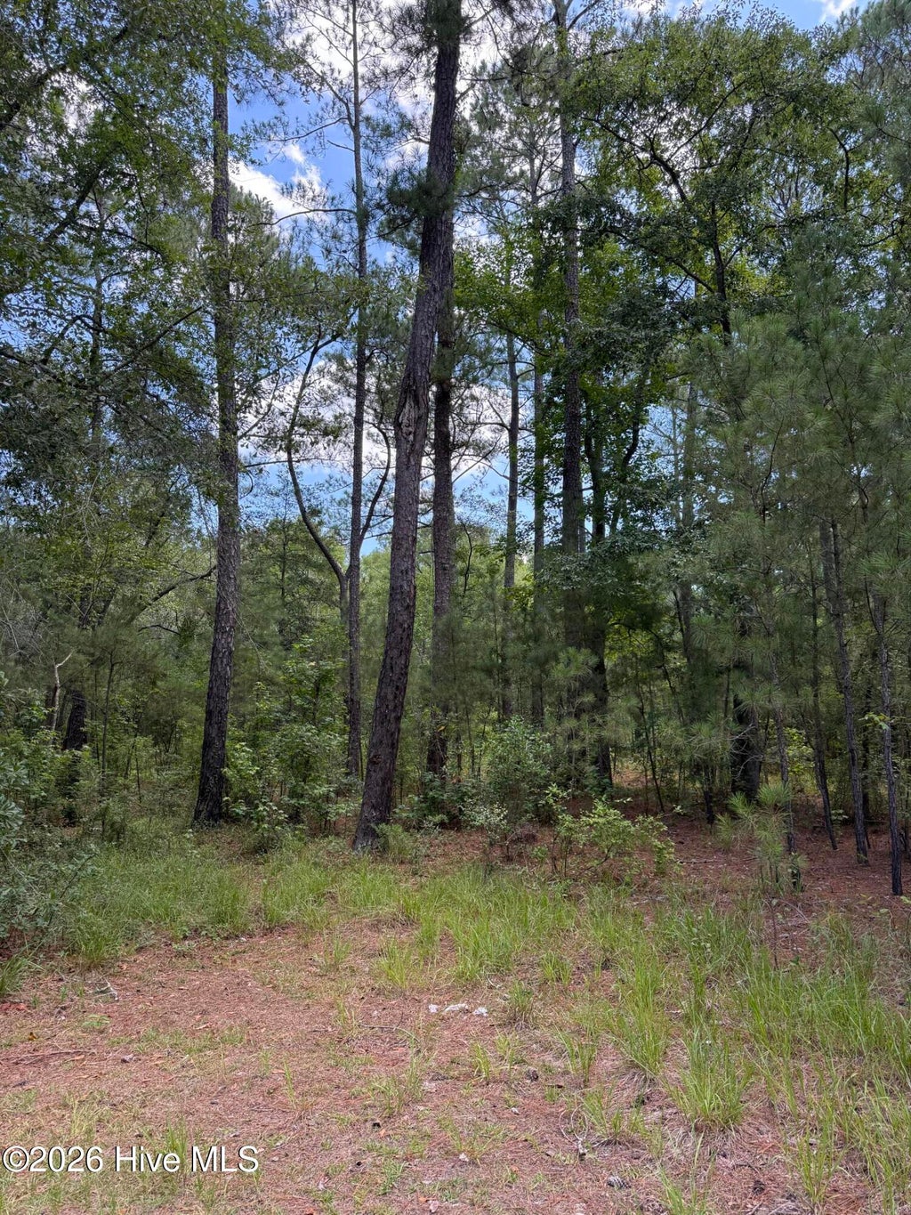 Photo of 532 Old Hoover Bridge Road, Elizabethtown, NC 28337 (MLS # 100589365)