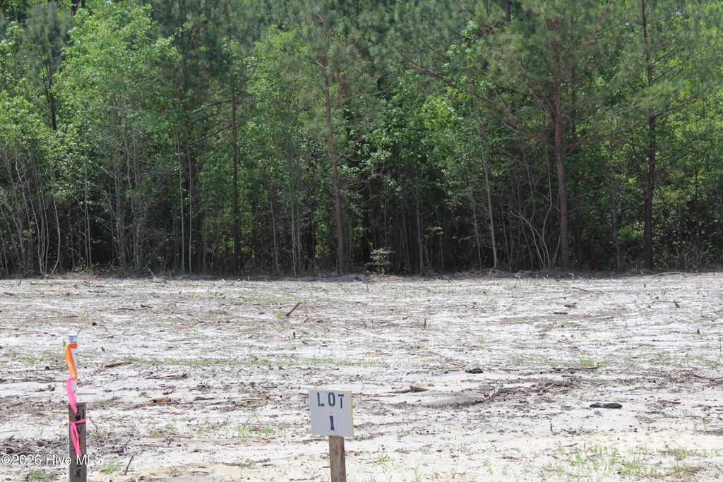 Photo of 125 H.T.Brown Lane, Magnolia, NC 28453 (MLS # 100569682)