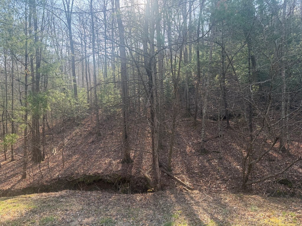 Lot 12 Rainbow Valley Drive - Photo 3