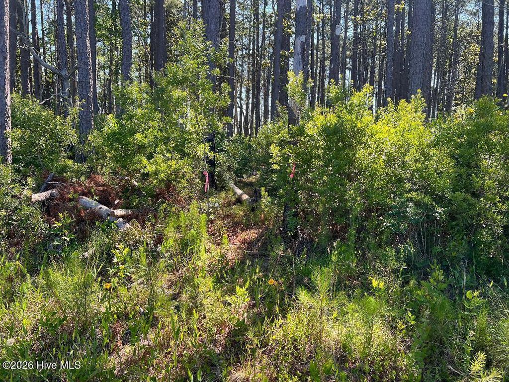 Photo of 556 Highway 70 Smyrna ST, Smyrna, NC 28579 (MLS # 100574605)