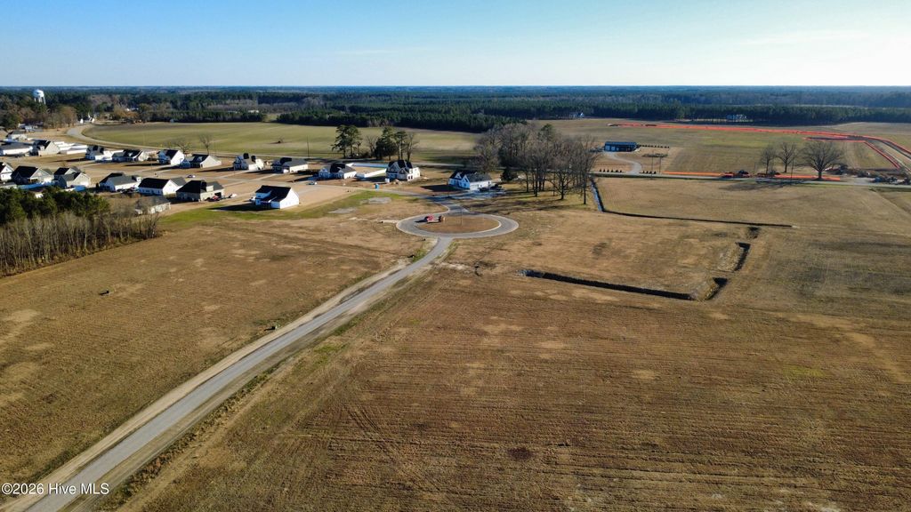 Photo of 2066 Harris Ridge Road, Winterville, NC 28590 (MLS # 100549262)