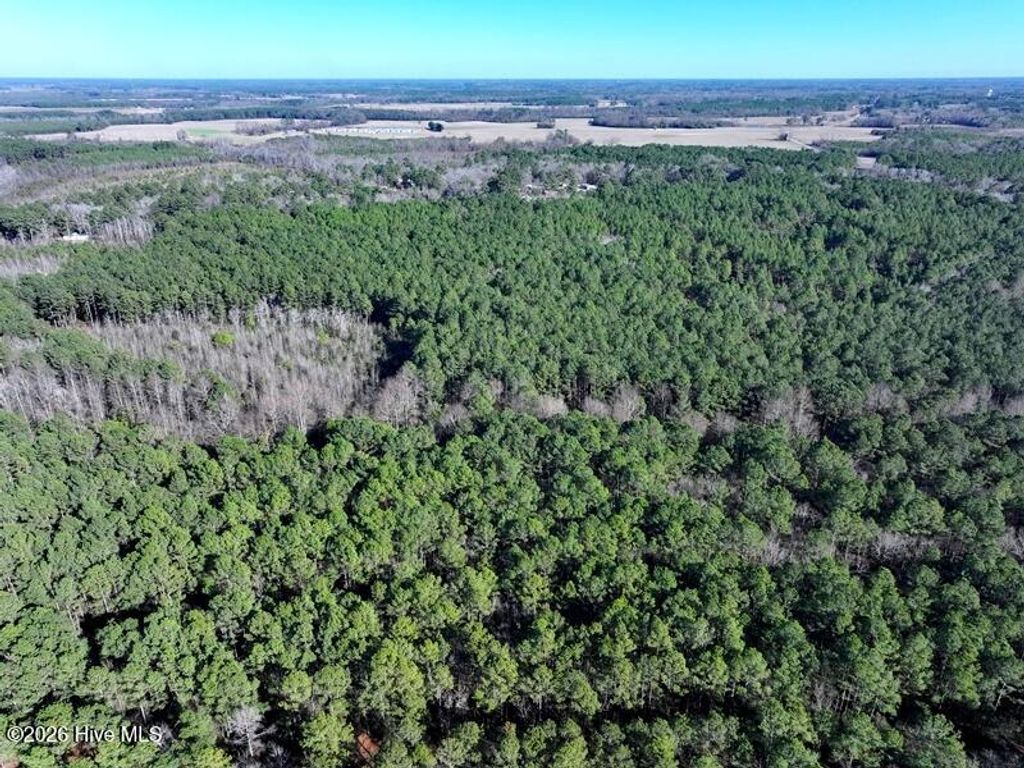 Photo of Tbd N Nc Hwy 130, Fairmont, NC 28340 (MLS # 100550104)