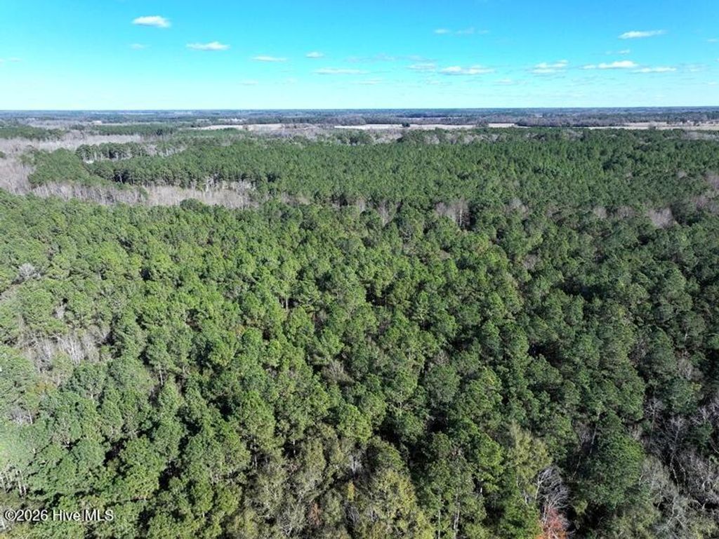 Photo of Tbd N Nc Hwy 130, Fairmont, NC 28340 (MLS # 100550104)