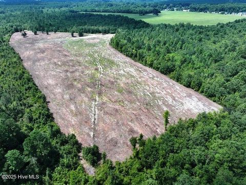 Vacant Land For Sale - TBD Alamac Road<br/> Lumberton, NC 28358