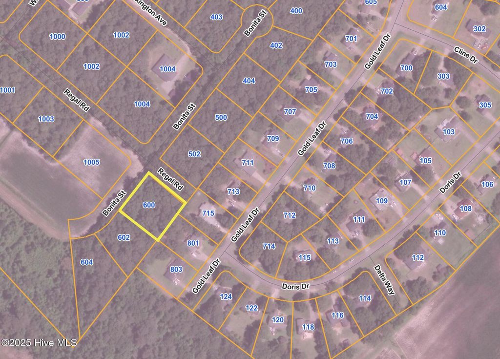 Photo of 600 Bonita Street, Goldsboro, NC 27534 (MLS # 100545868)