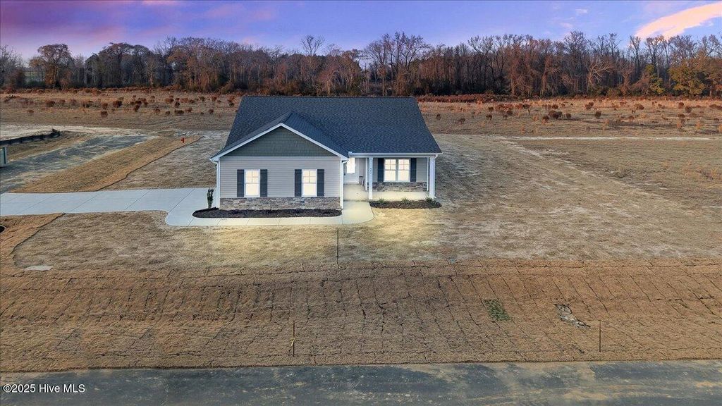Photo of 401 Creeks Edge Drive, Pikeville, NC 27863 (MLS # 100534985)