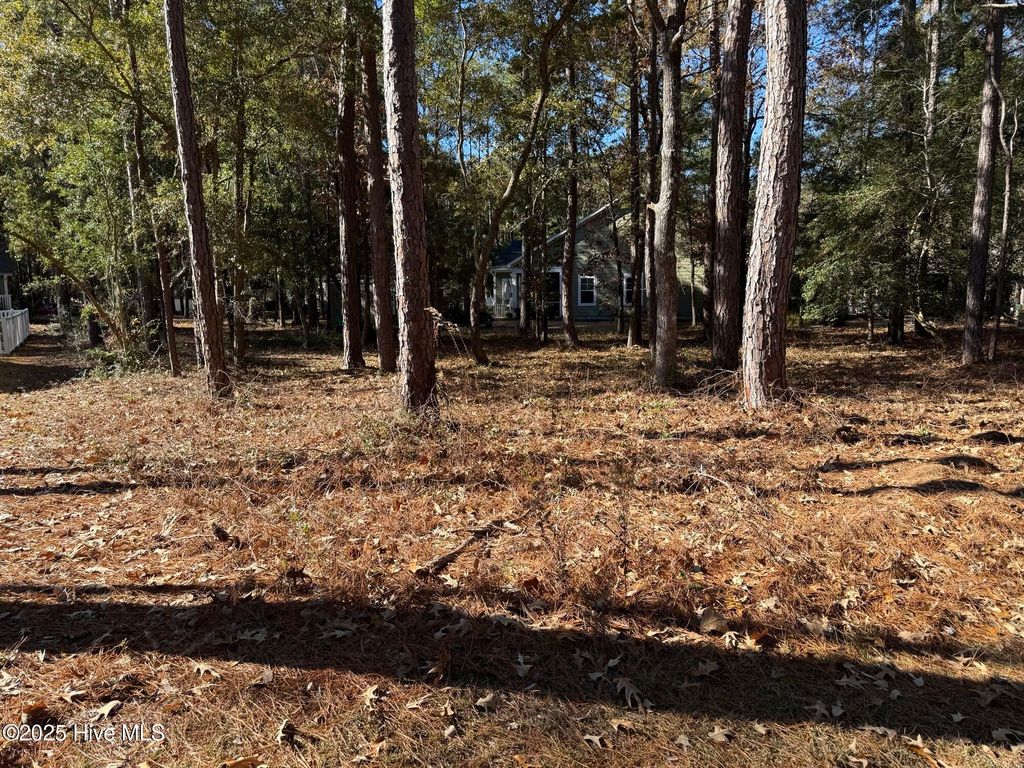 Photo of 3255 Mooring Drive SE, Bolivia, NC 28422 (MLS # 100546406)