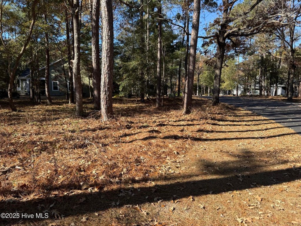 Photo of 3255 Mooring Drive SE, Bolivia, NC 28422 (MLS # 100546406)